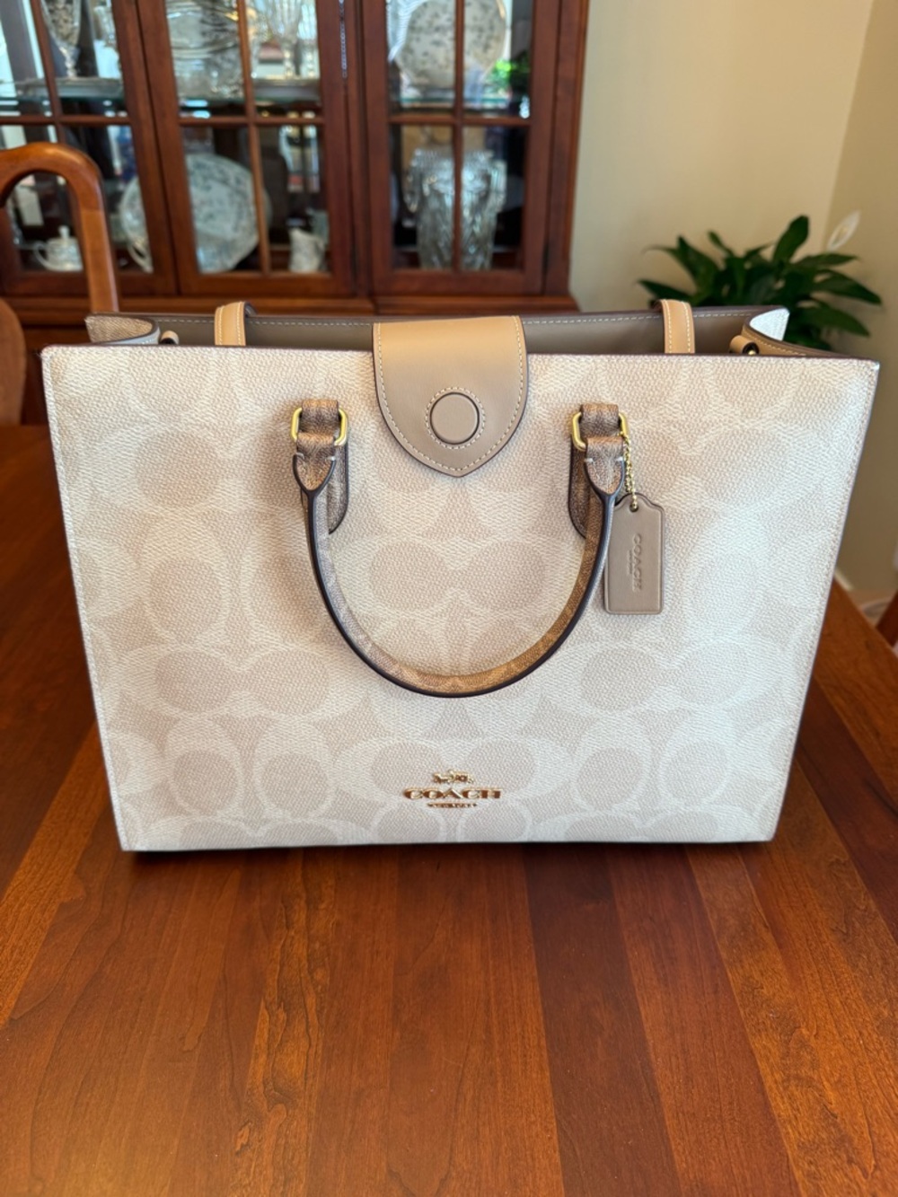 NWT Coach Maggie Tote Bag In Blocked Signature Canvas